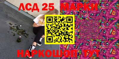 стафф Гай