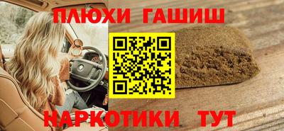 стафф Гай