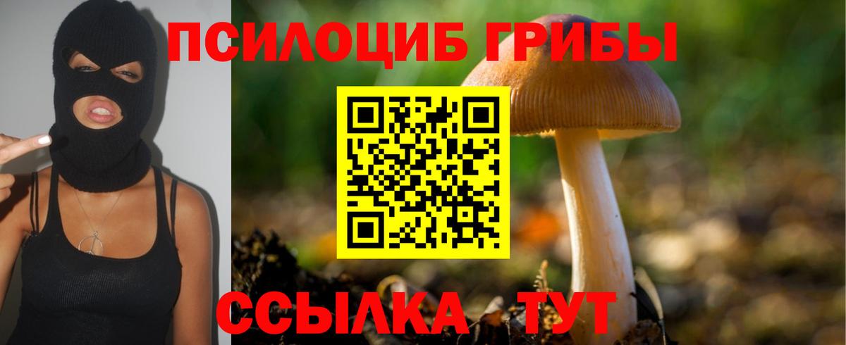 Набережные Челны  Галлюциногенные грибы Cubensis  Вход с VPN 